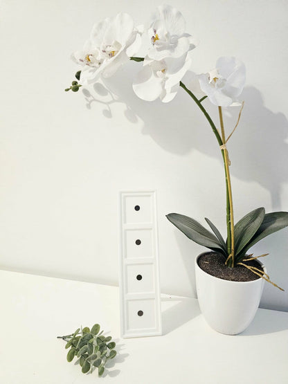 Cadre magnétique rectangle (4)